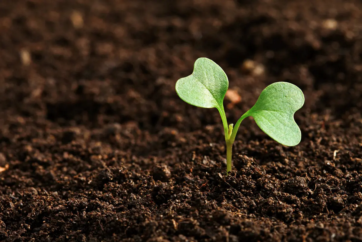 Building trust and developing exceptional solutions for the future.